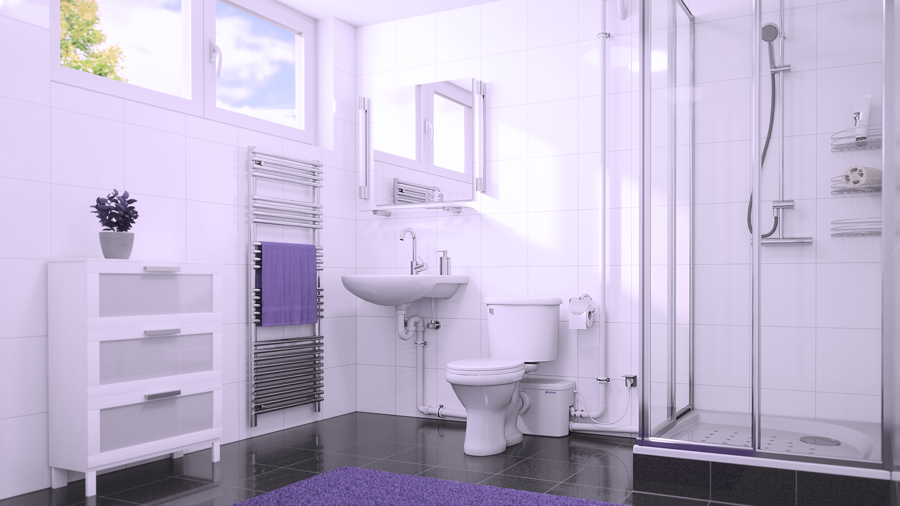 La piccola stazione di sollevamento con installazione in appoggio si inserisce discretamente in un bagno, nel quale si trovano doccia, lavabo e WC.